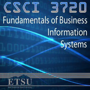 Fundamentals of Business Information Systems - Spring 2013 Fundamentals of Business Information Systems - Spring 2013